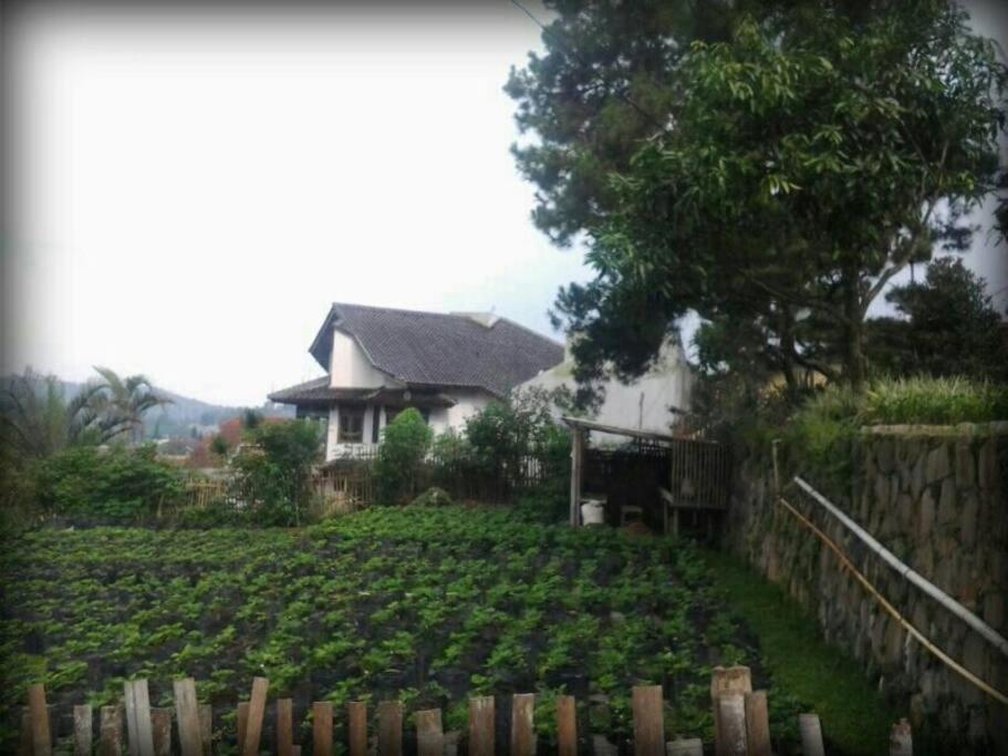 Villa Notes From The Mountains Bandung